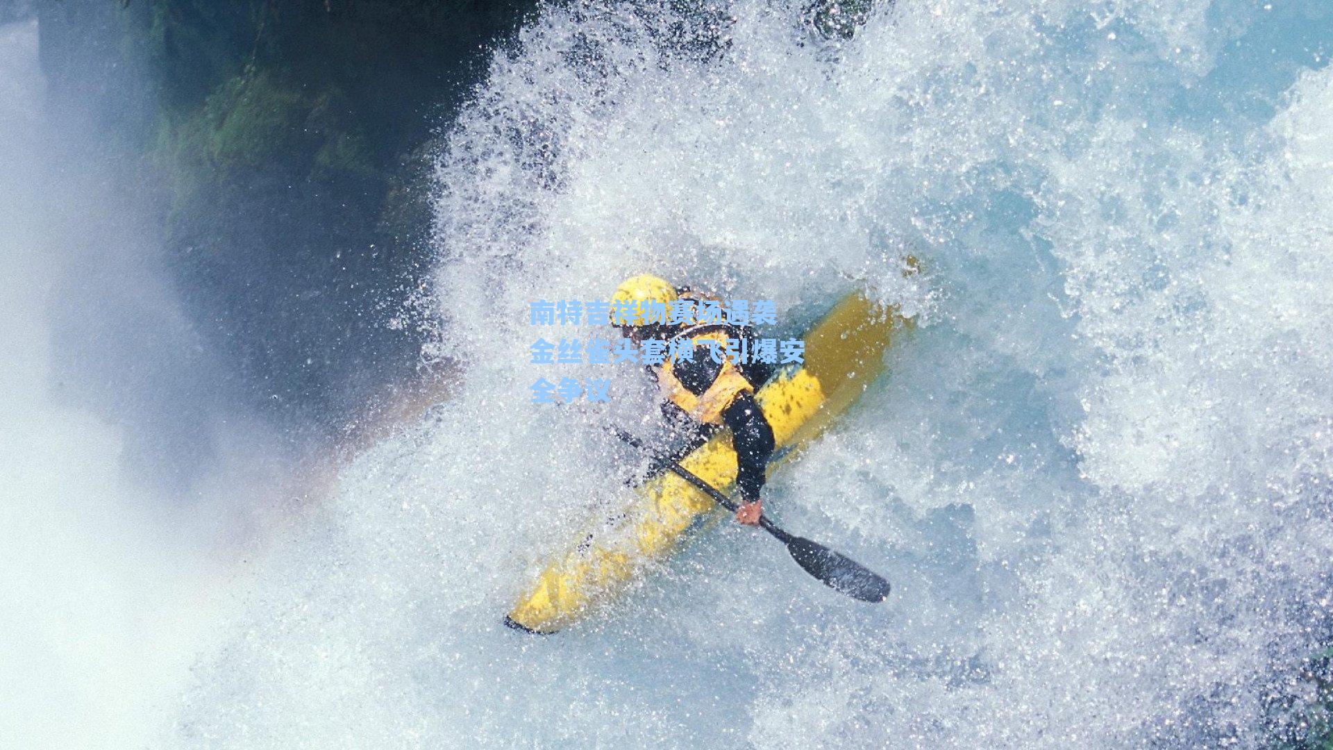 南特吉祥物赛场遇袭 金丝雀头套横飞引爆安全争议