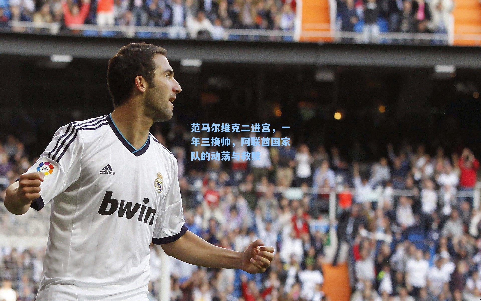 范马尔维克二进宫,一年三换帅,阿联酋国家队的动荡与救赎